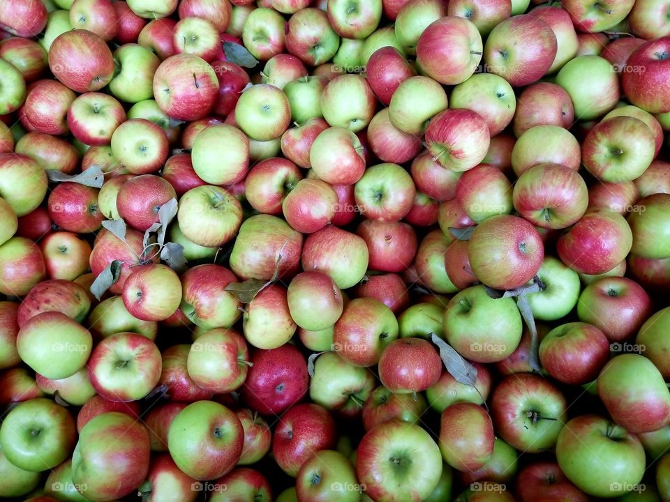 colourful Apples