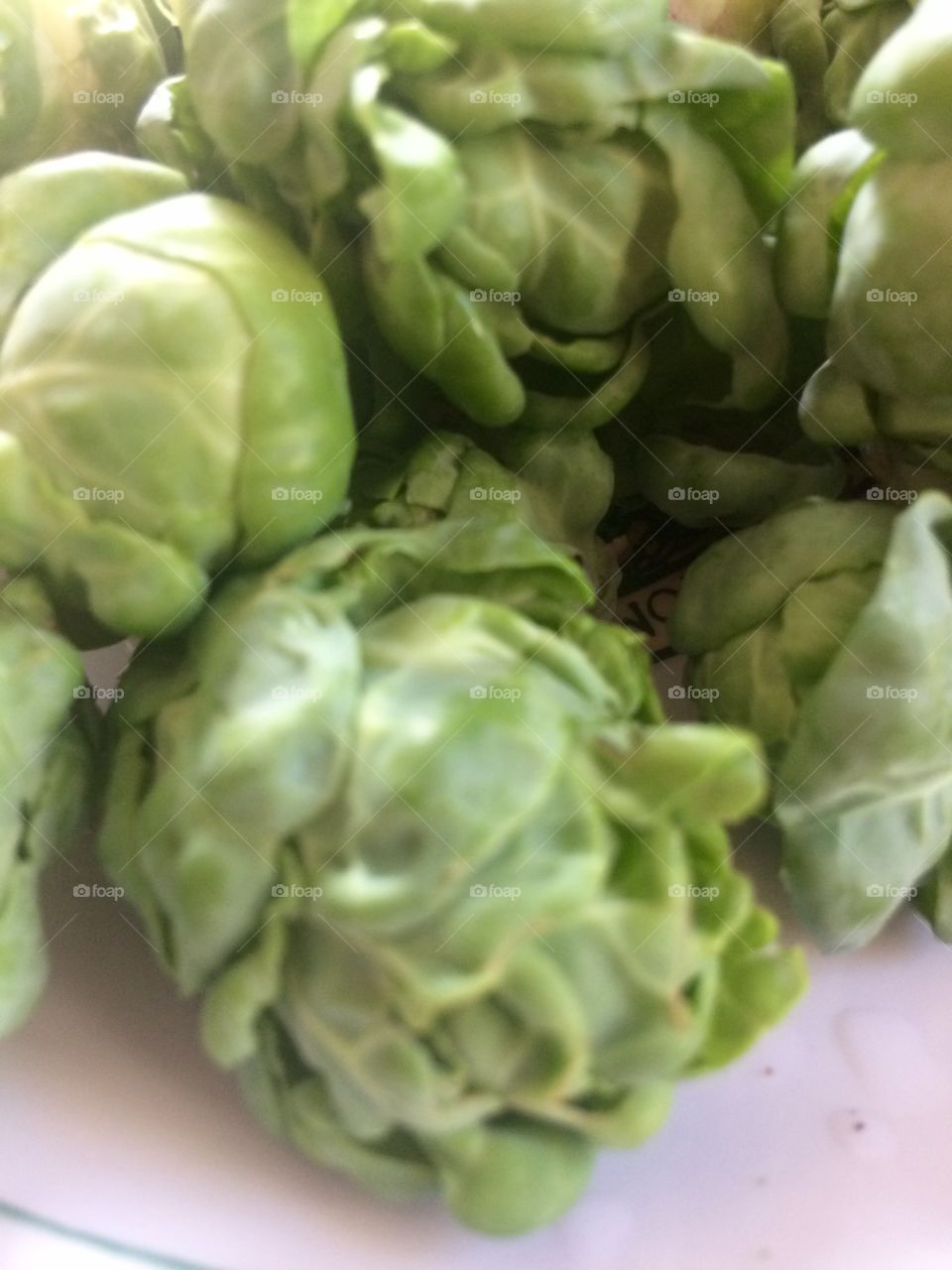 Brussel sprouts 