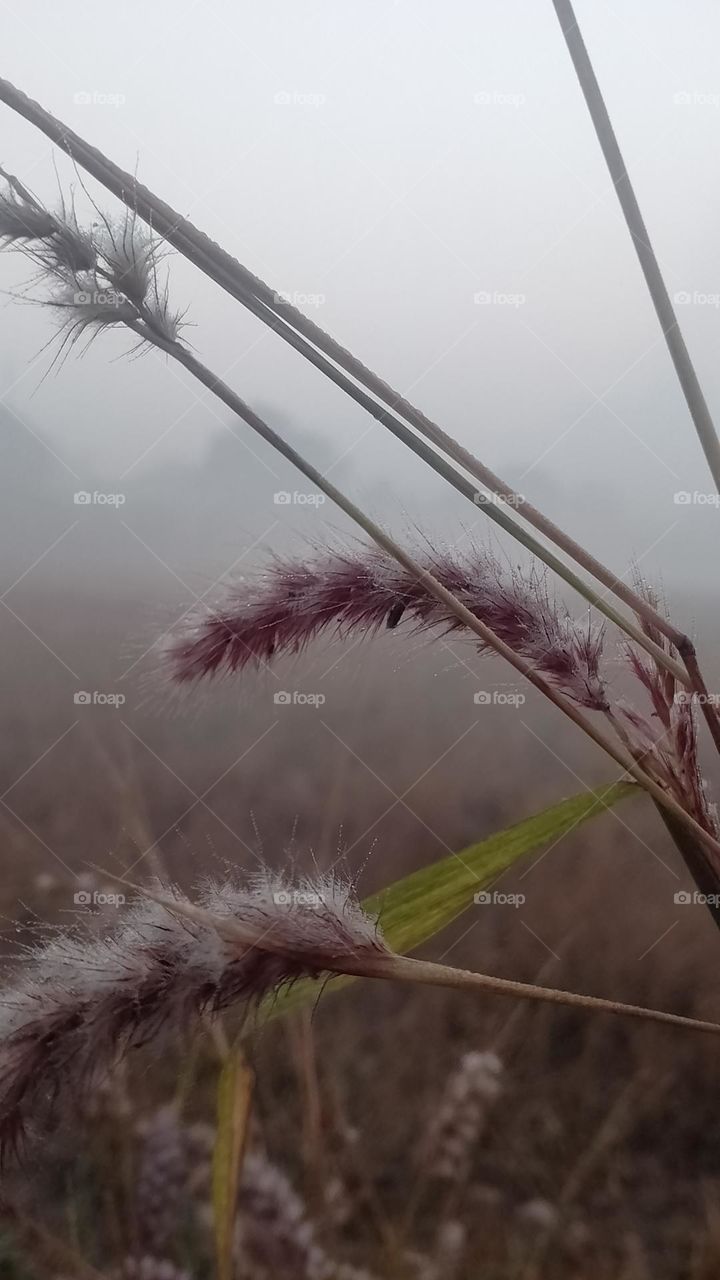 so beautiful 😍❤️ picture 🖼️😻