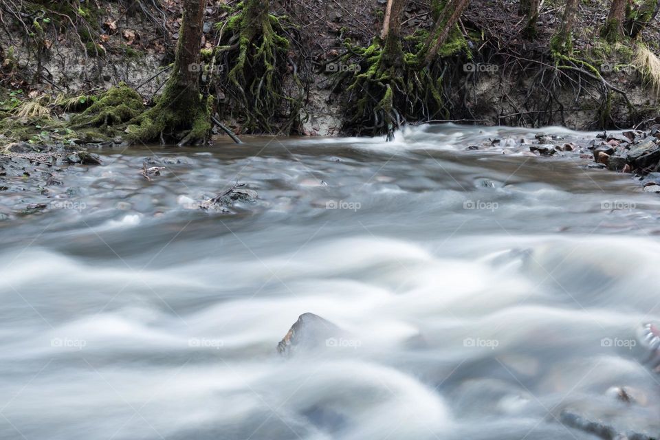 Little creek in the forest, the wild water in the stream looks smooth when shot in long exposure 