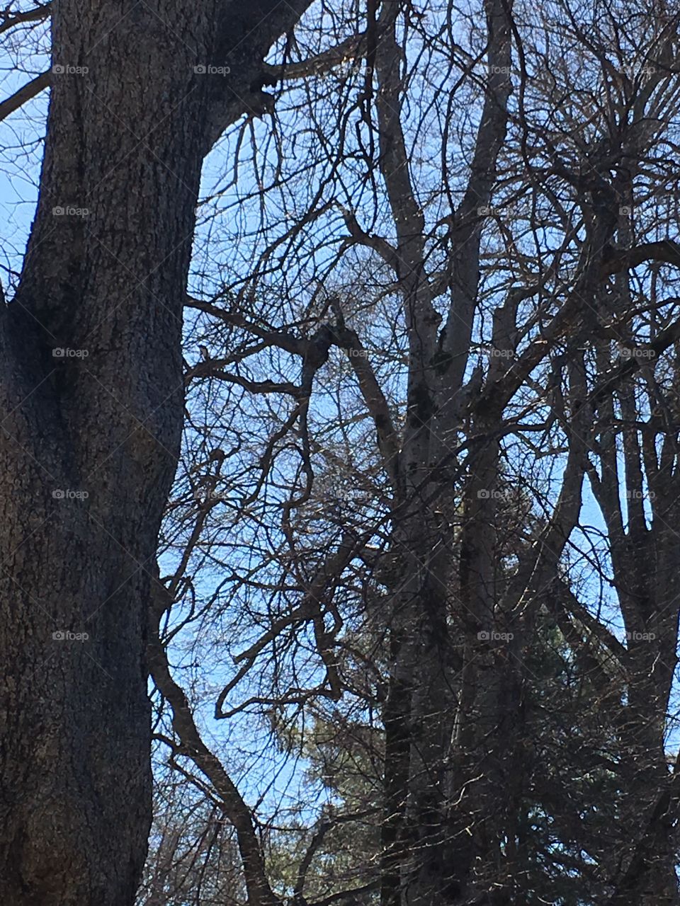 Cleveland MS delta afternoon