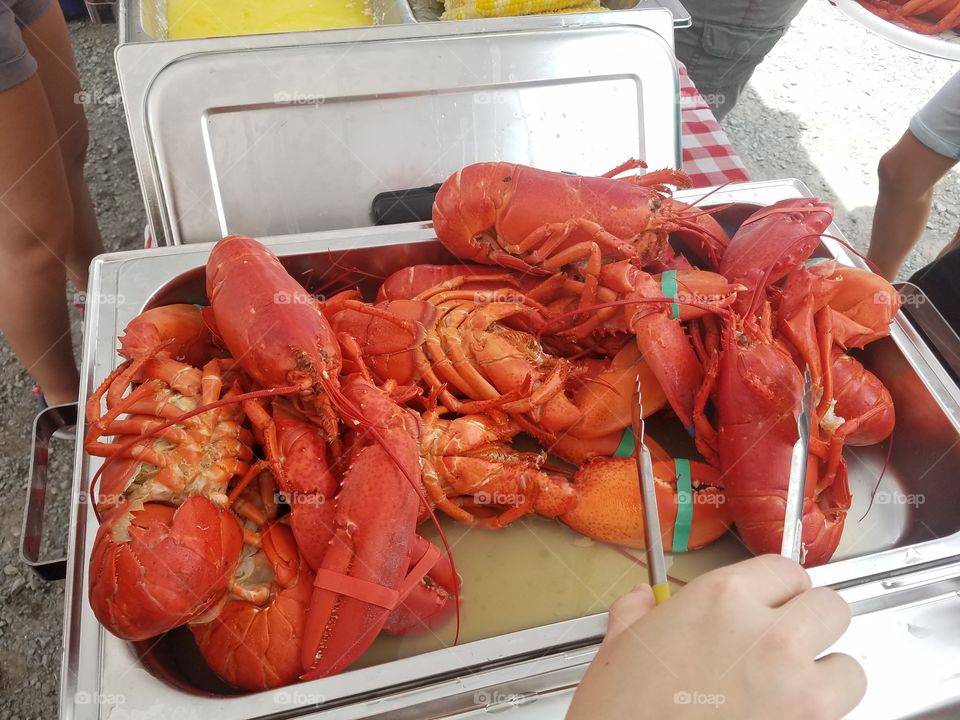 Lobster, Crustacean, Shellfish, Food, Seafood