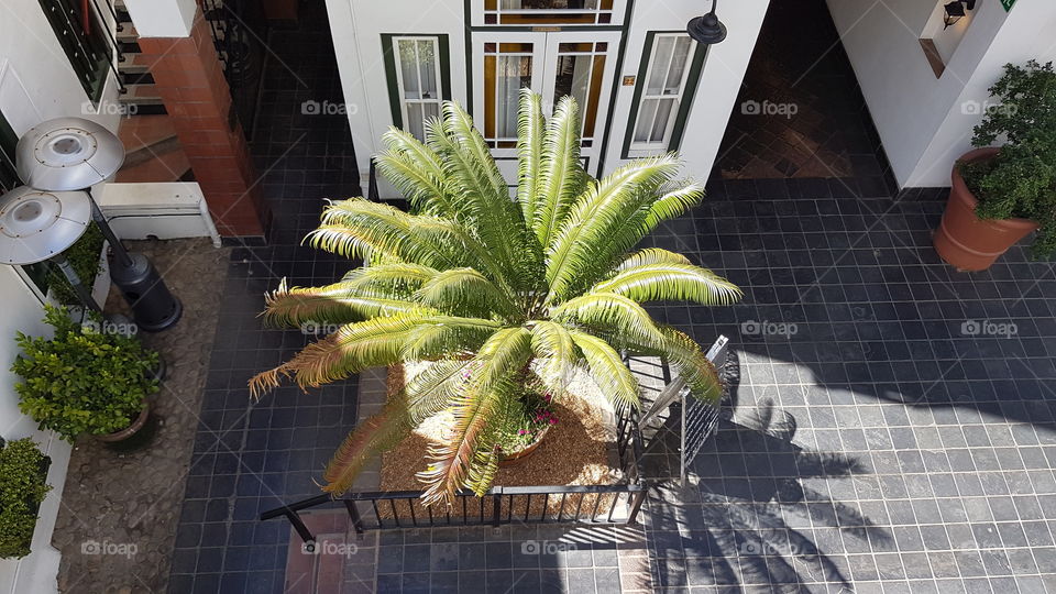 The courtyard of the Stellenbosch hotel South Africa