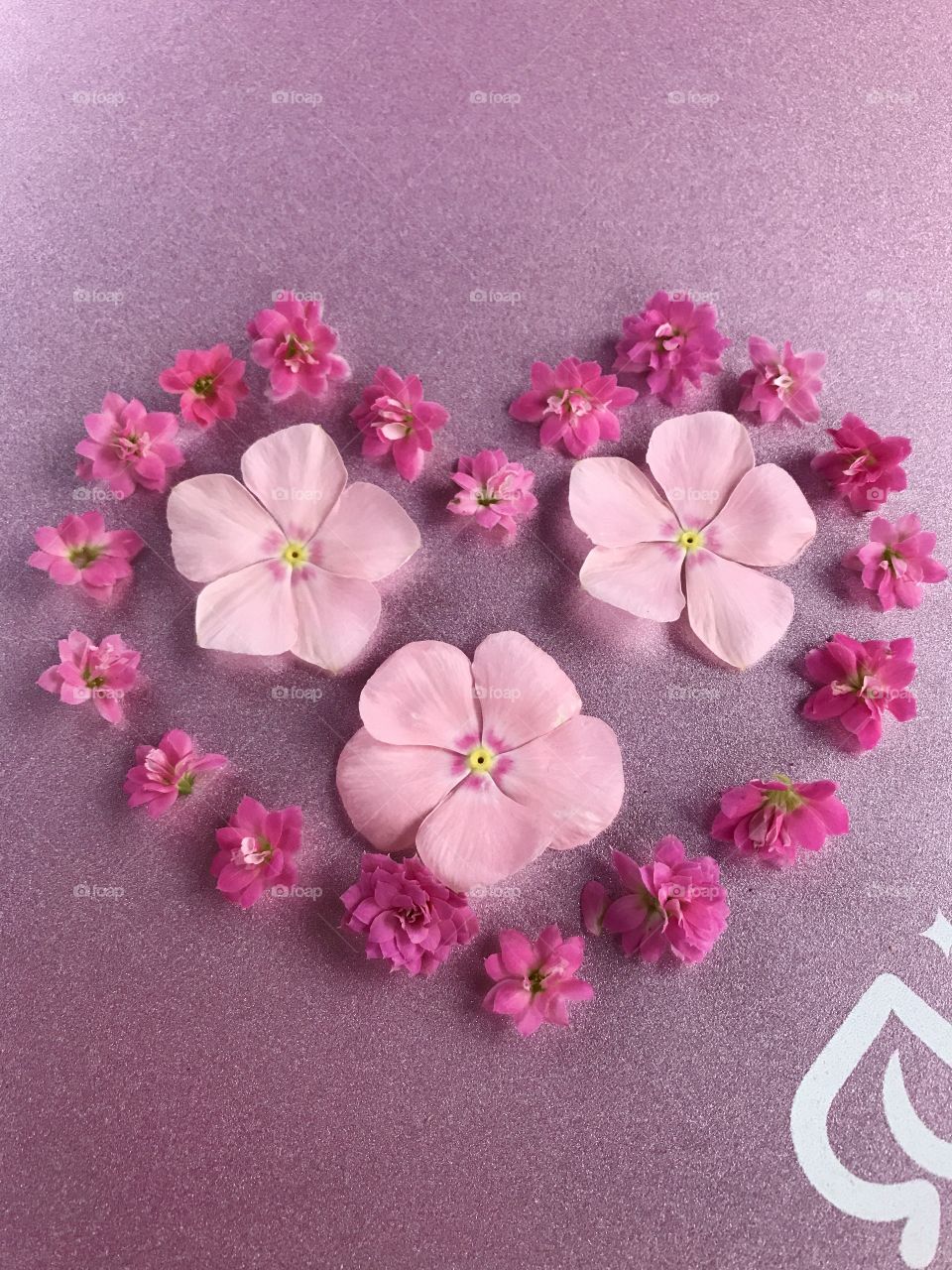 Little pink and big pink flowers in the shape of a flower heart.