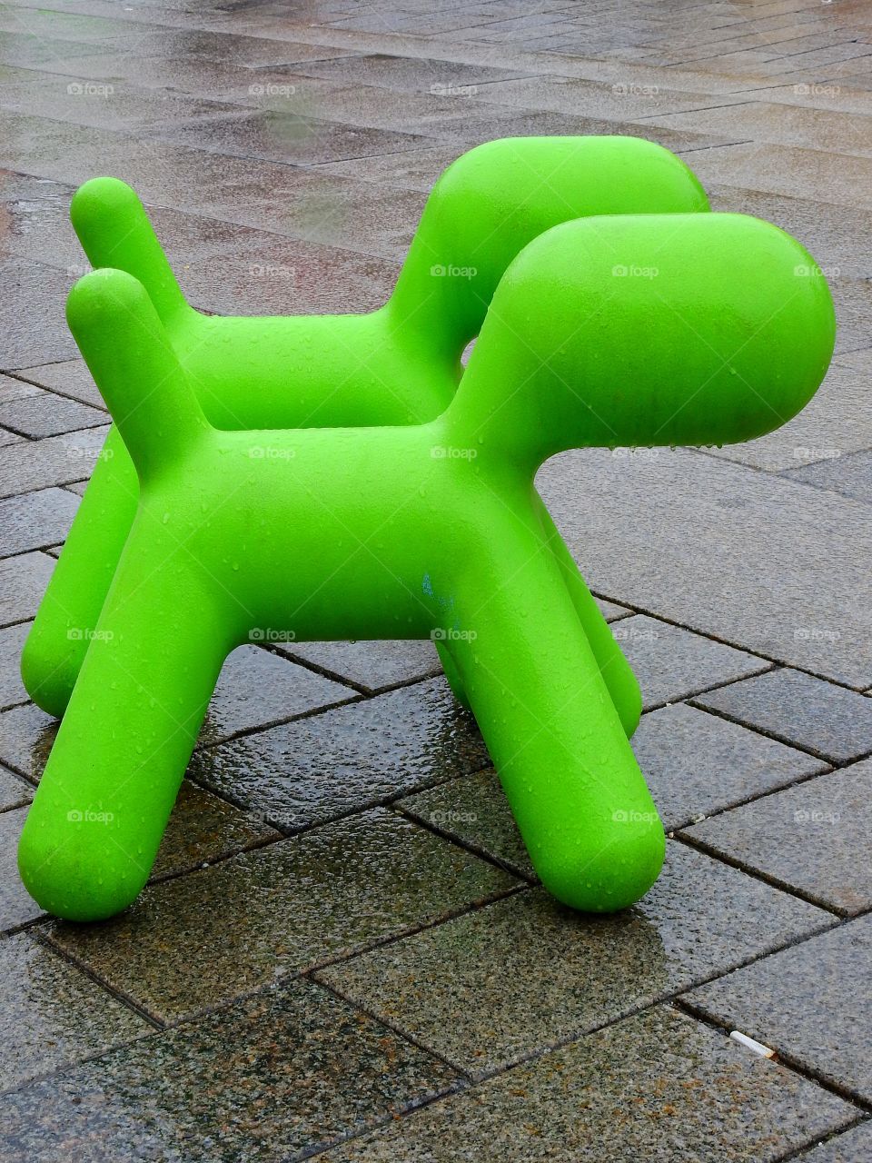 Two green dogs