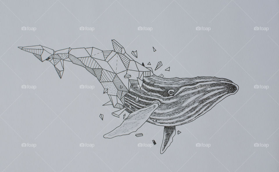 Geometric Whale