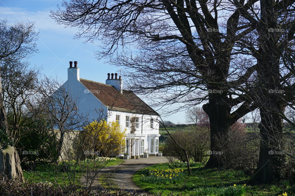 Country house 