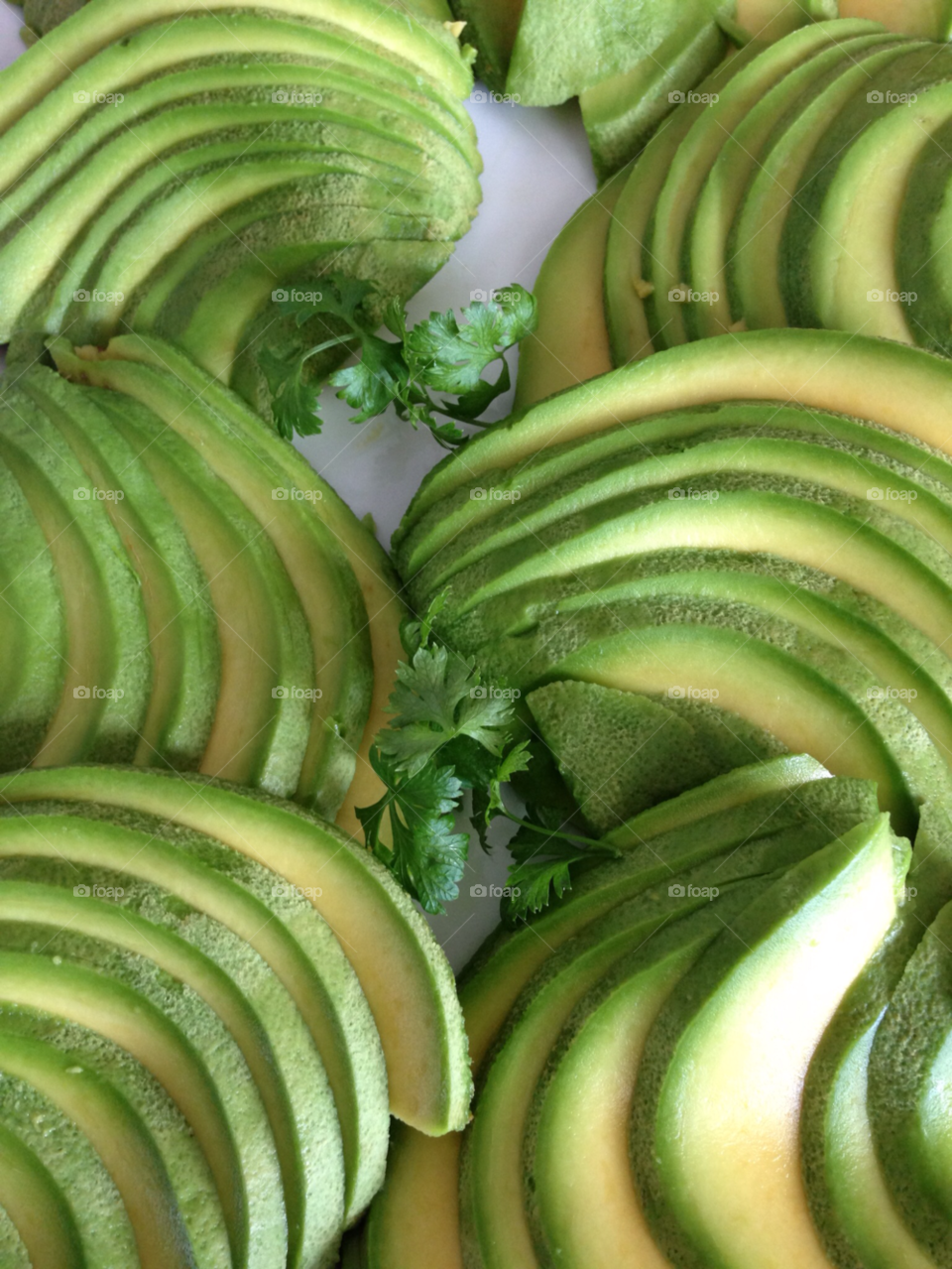 weston florida avocado salad green mix color explosion by habitatweston