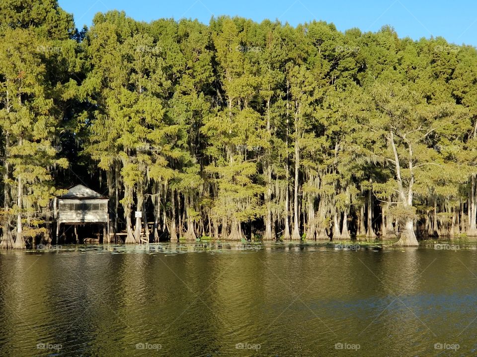 Swamp Hut on Caddo Lake left