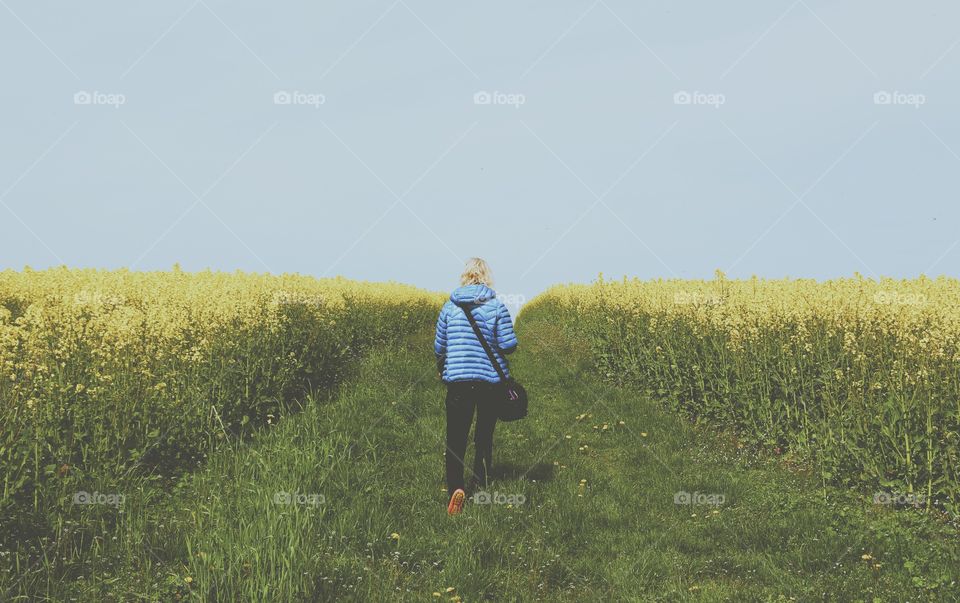 Woman in blue jacket walking between the yellow rapeseed fields