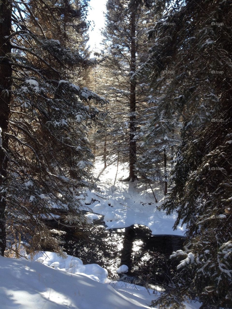 Winter mountain river frozen by the storm