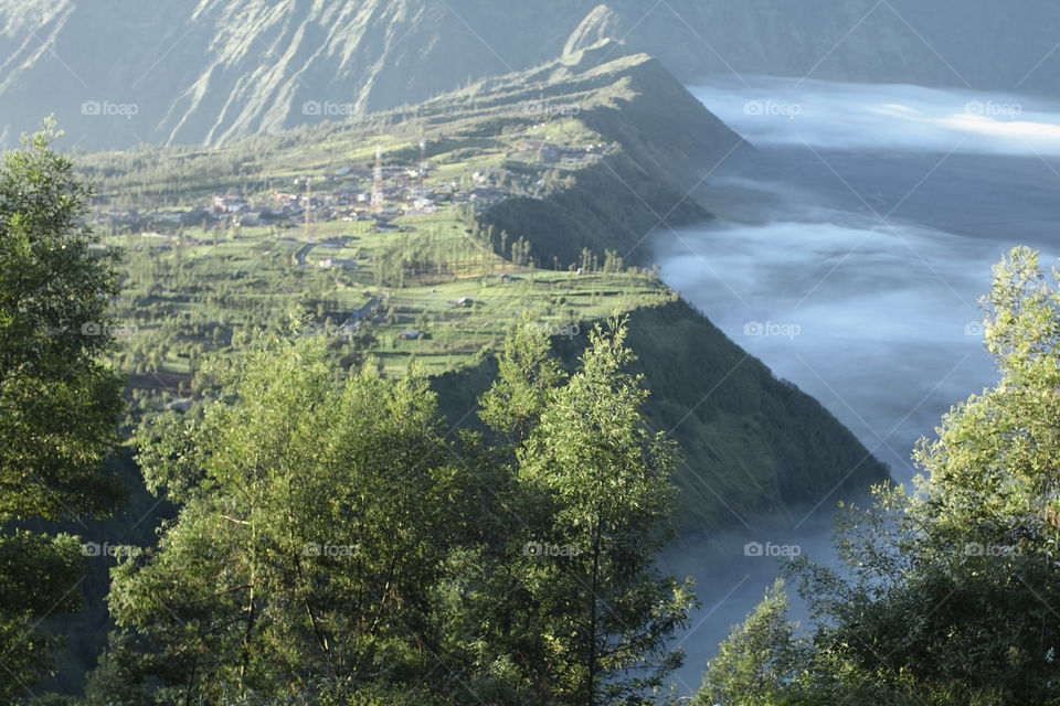 Foggy morning in the village