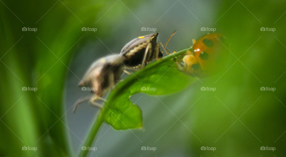 although it's different but still one