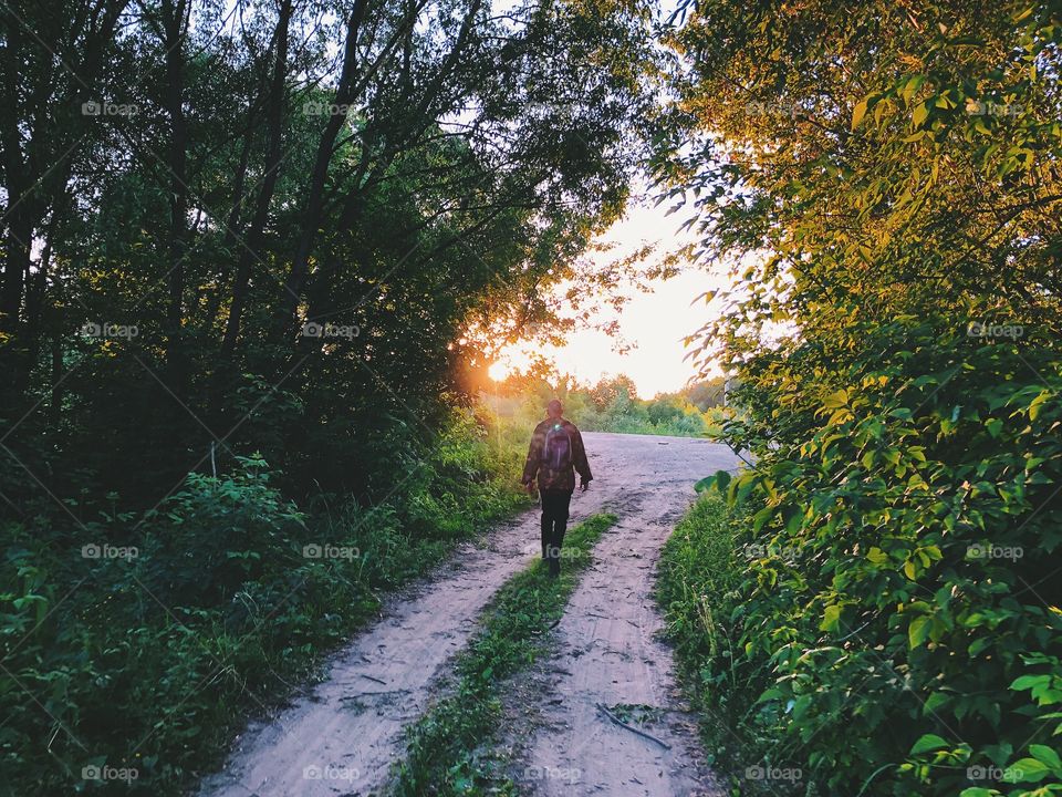 Summer walk