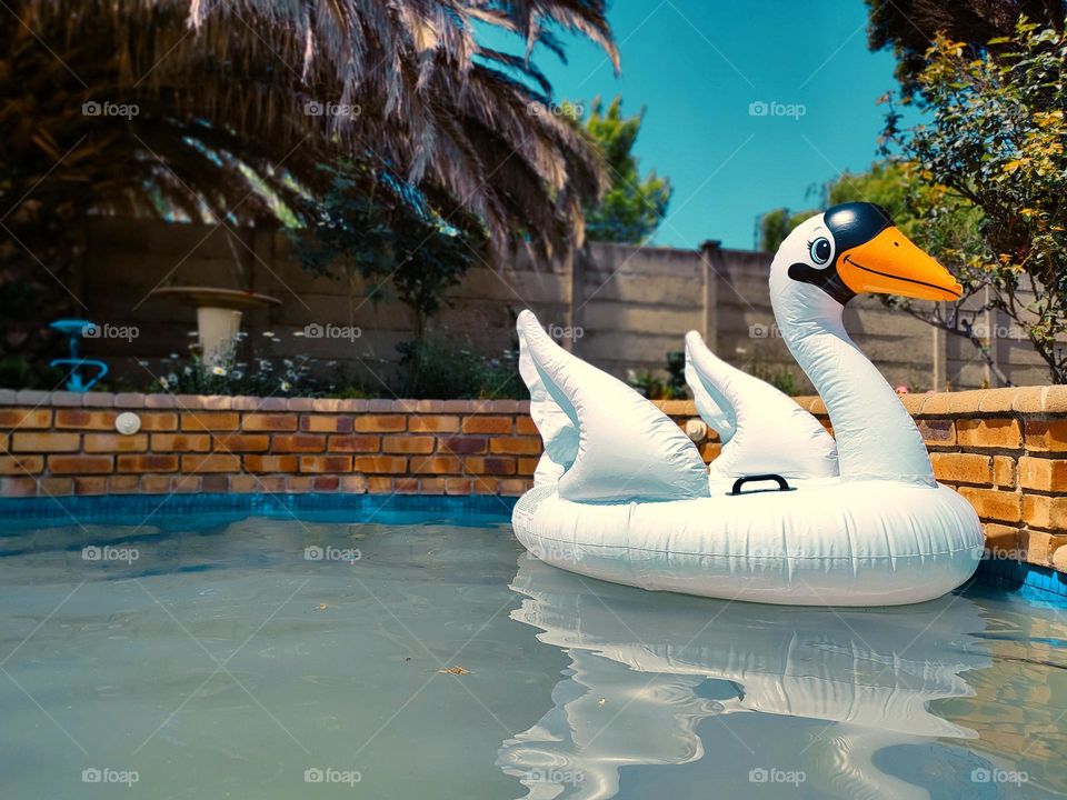 Inflatable Pool Float, Swan