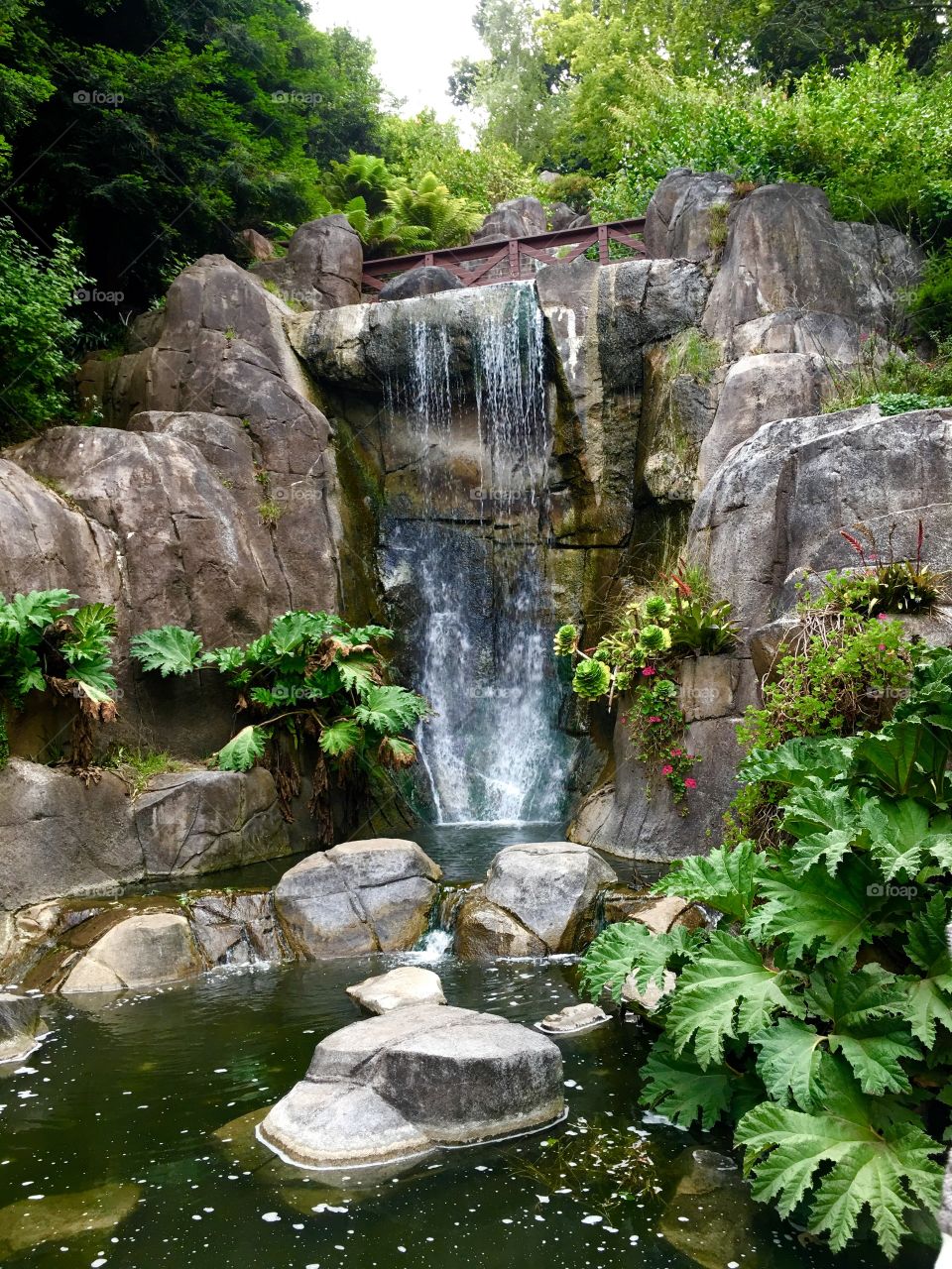 Waterfall in Golden Gate Park