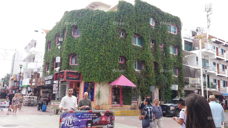 plantas en ciudad