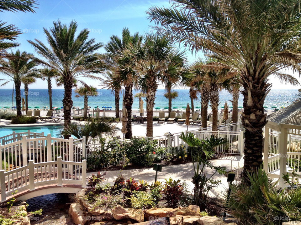 beach garden summer water by dustinrogers