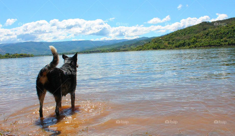 Relaxing day at the lake 
