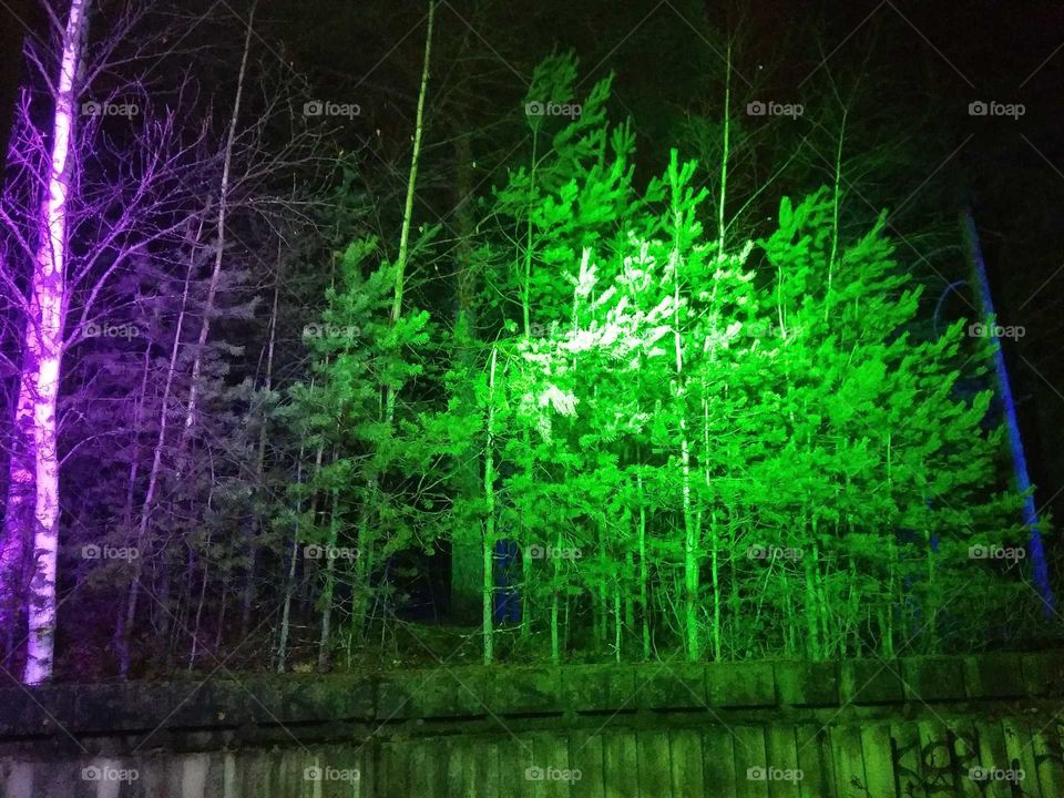 подсветка городского парка