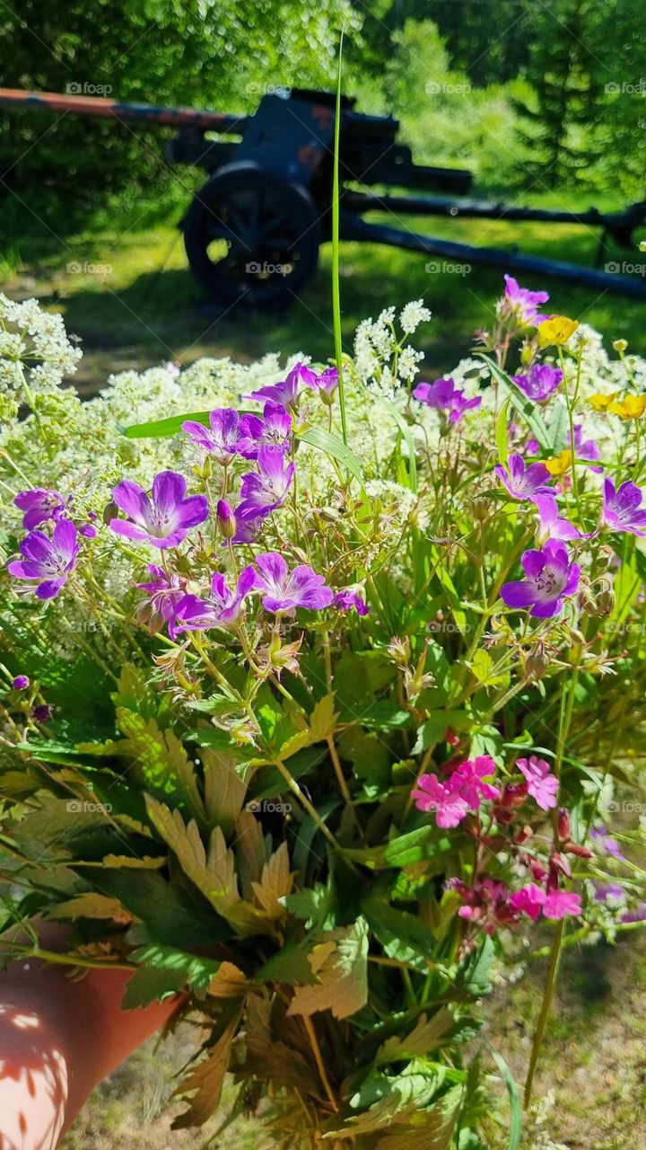 Beautiful summer flowers picked from Finnish nature in a vase.