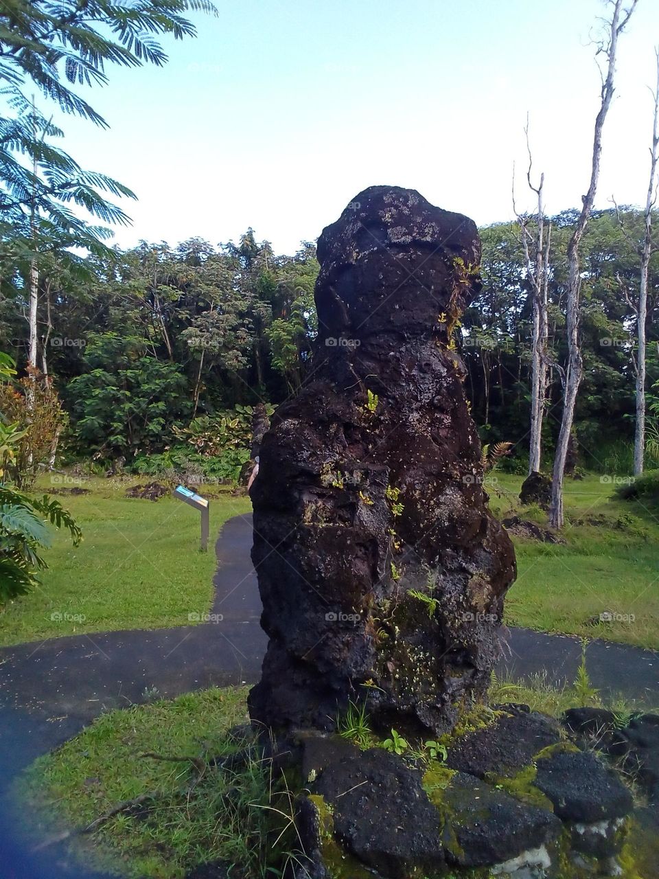 Lava Monument State Park in Pehoa Hawaii. Remnants of lava from a wave of lava covering the forest. 