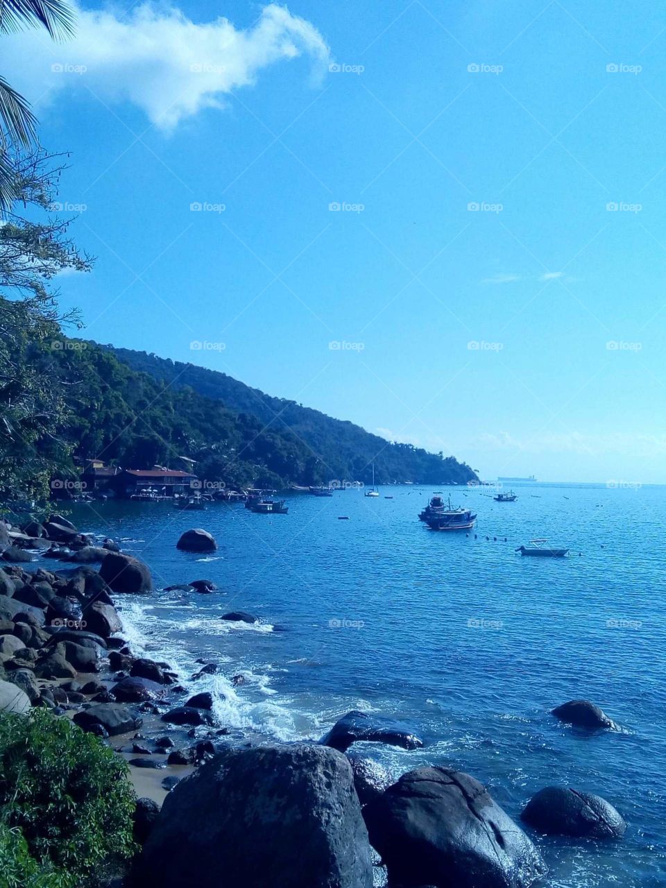 Ilha de Araçatiba RJ