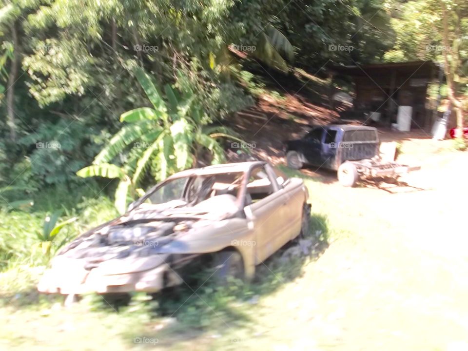 Photo from moving car traveling in Roatan, Honduras