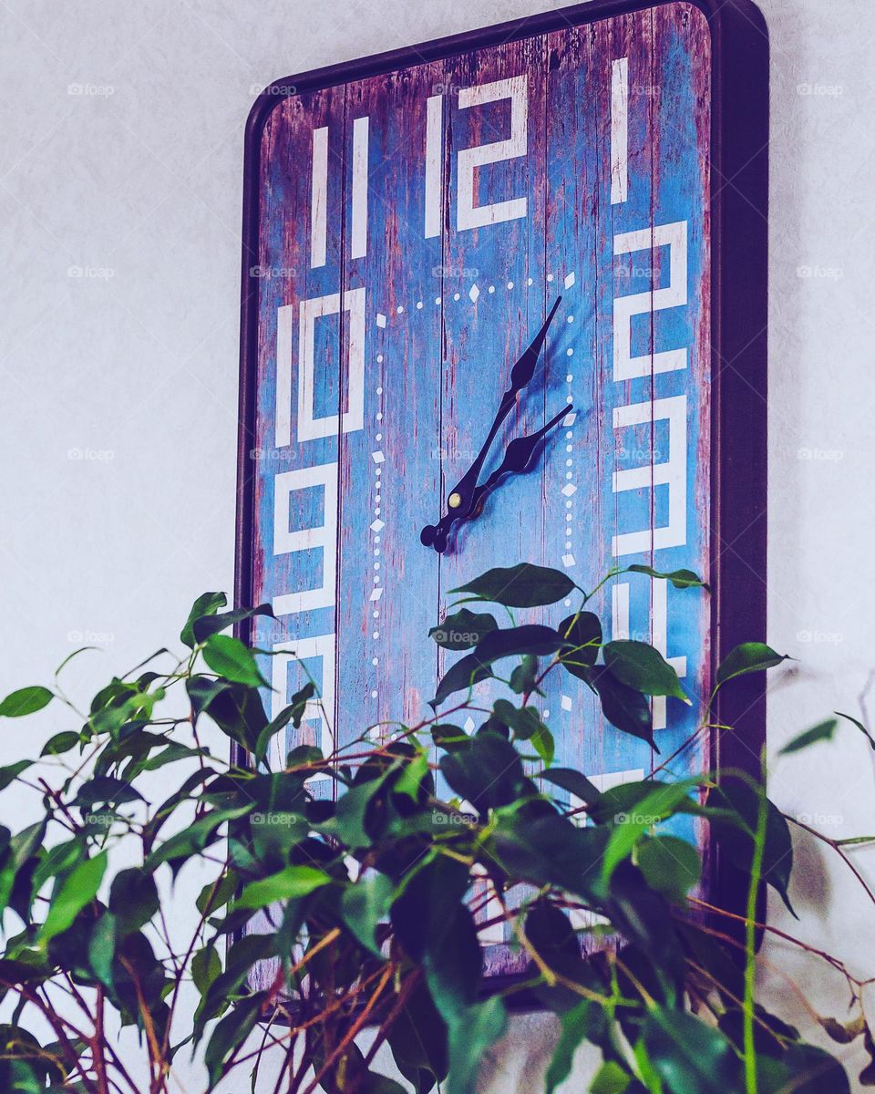 Rustic clock and plant