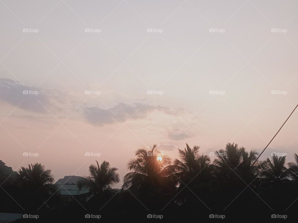 ravarma VanguvO  / Beautiful sunset / Coconut tree / Happy Evening