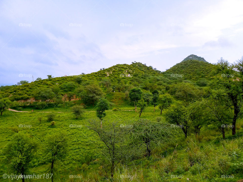 Landscape 2019 in summer🙂