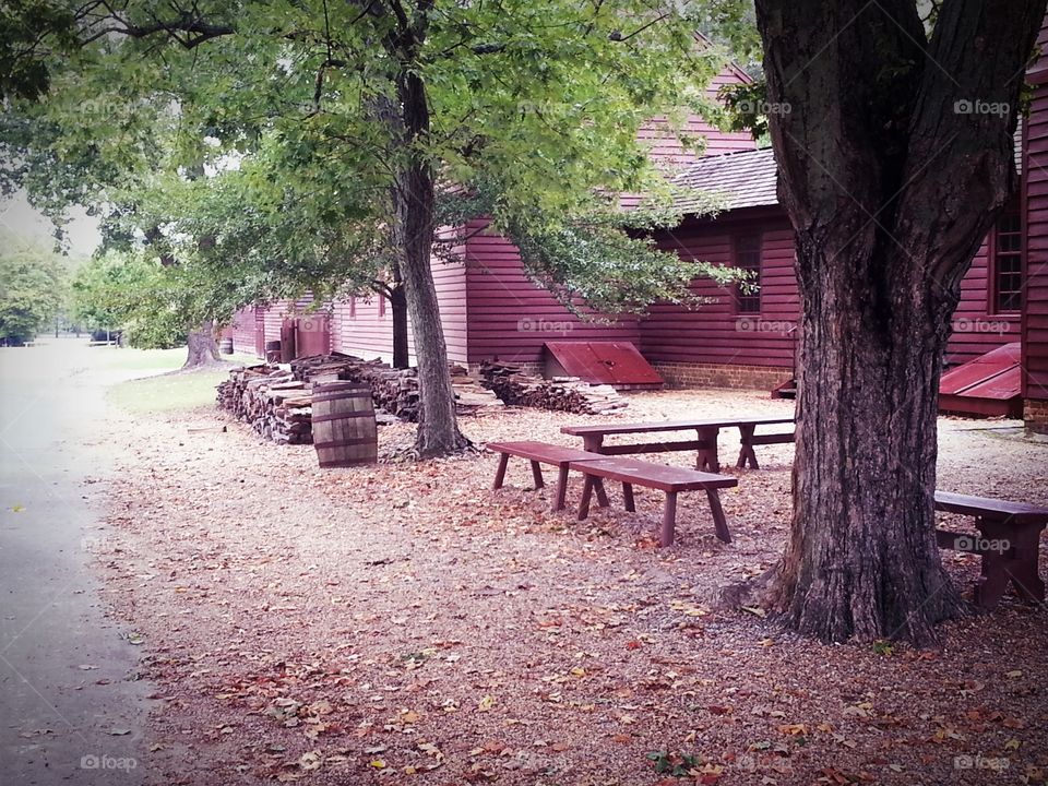 Wood piles in Williamsburg, Virginia