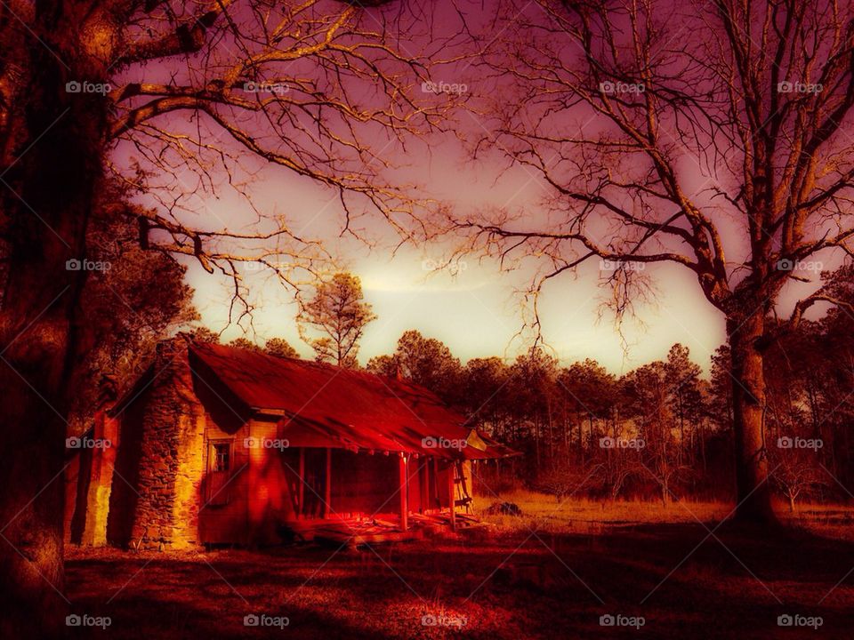 View of old houses in forest