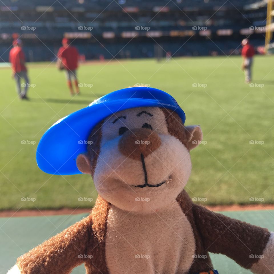 Monkey baseball