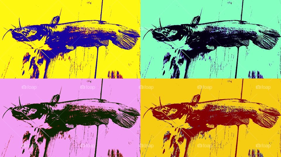 catfish pop art