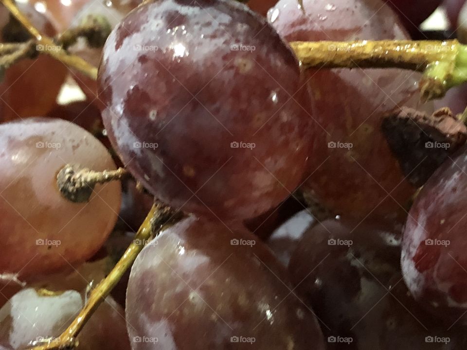 Pretty purple sweet grapes