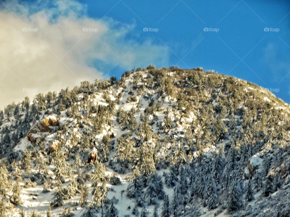 Snow On Mountaintop
