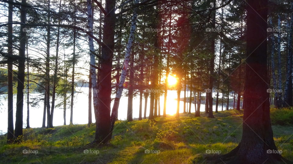 it was in the evening, there was nothing to do, walk on nature,sunset Ural