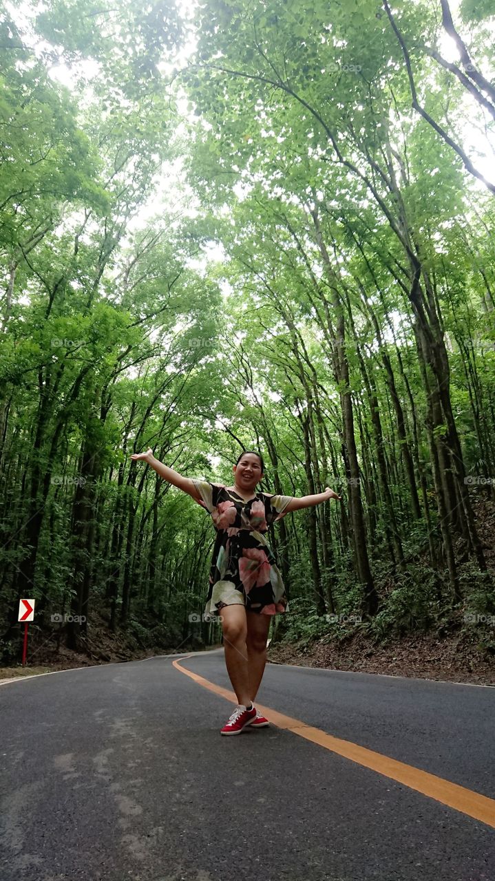 Manmade Forest in Bohol Philippines