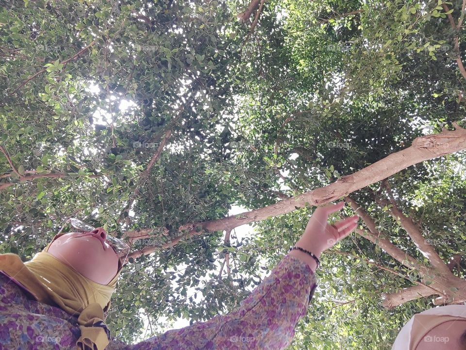 Taking Care of plants