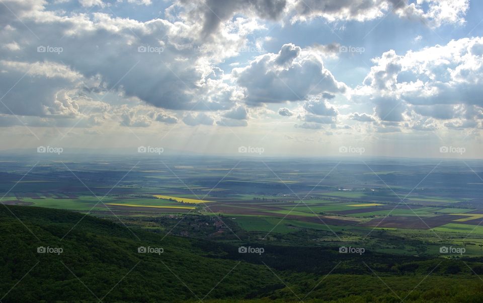 Scenic view of rural landscape