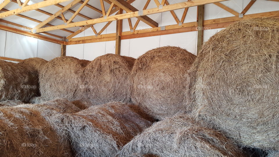 hay bales inside a barn