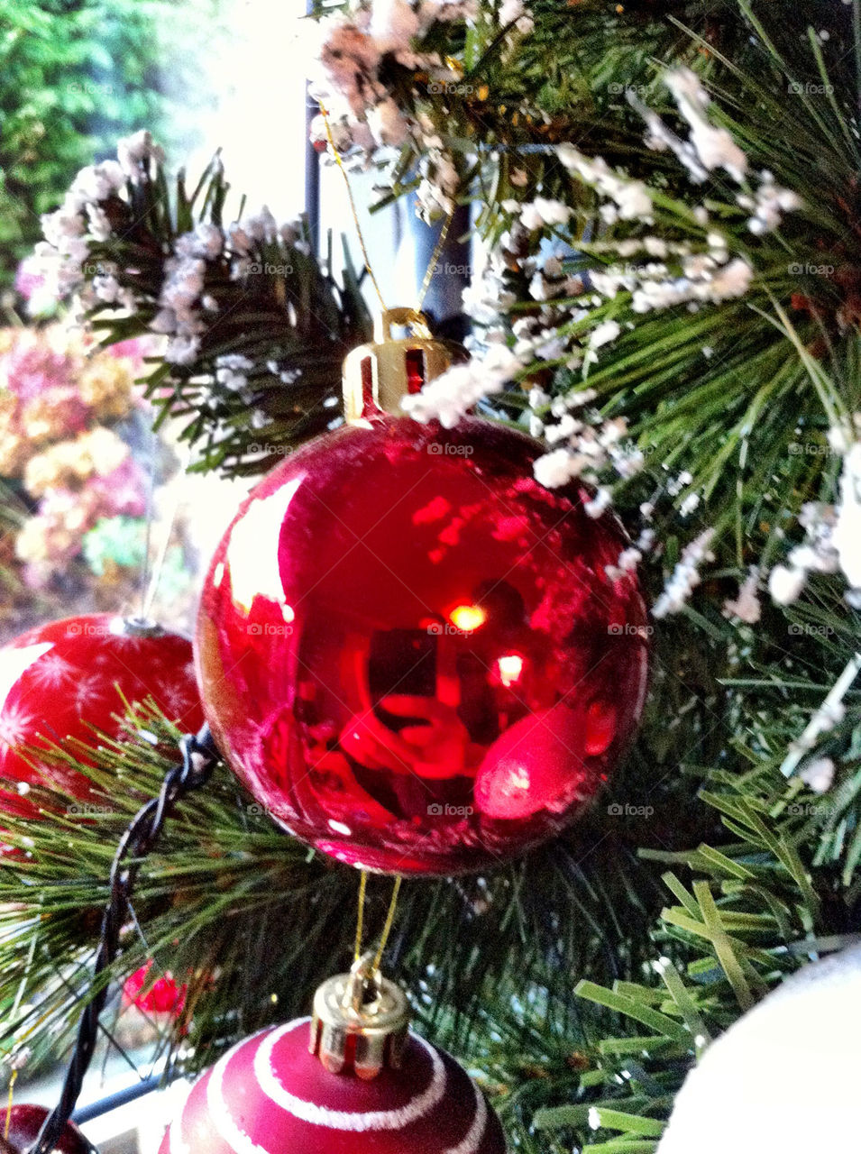 tree christmas festive red bauble by emmam