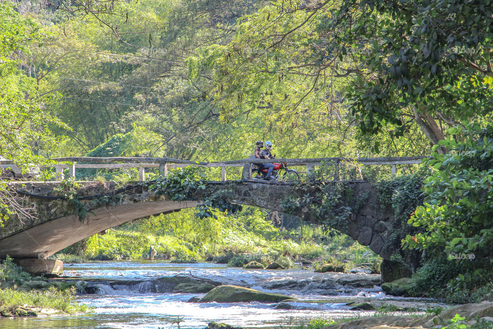 Bridge in the forest in Havana Cuba 