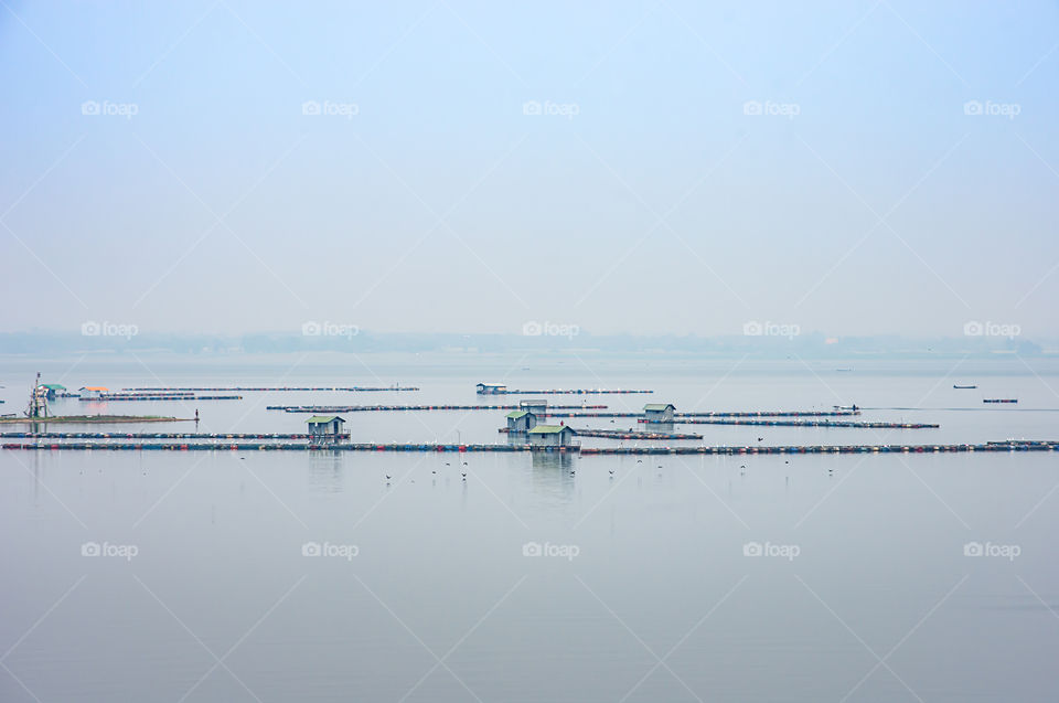 The raft floating fish farming and birds in Krasiew dam ,Supanburi Thailand.