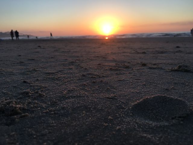 Beach sunset