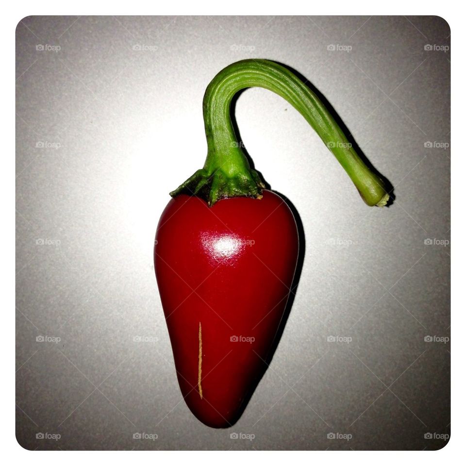 Jalapeño hot pepper