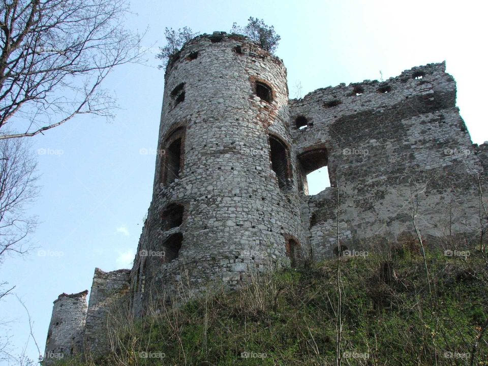 Castle from Poland