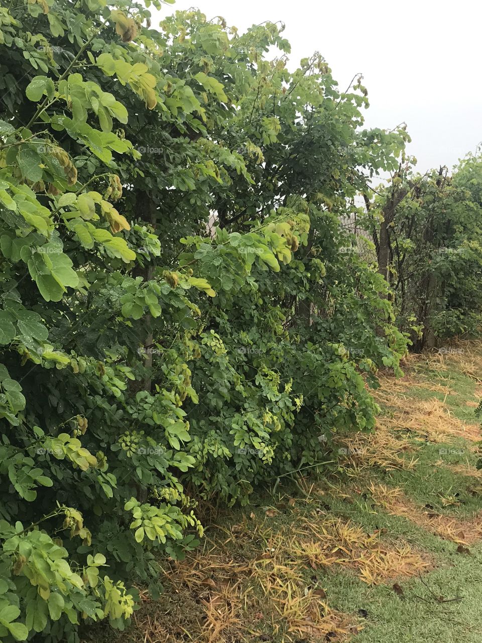 Some snaps near the highways condômino