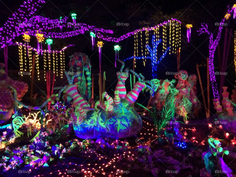 The colorful, creative set up of Christmas lights at the Houston Zoo for the annual Zoo Lights event. 
